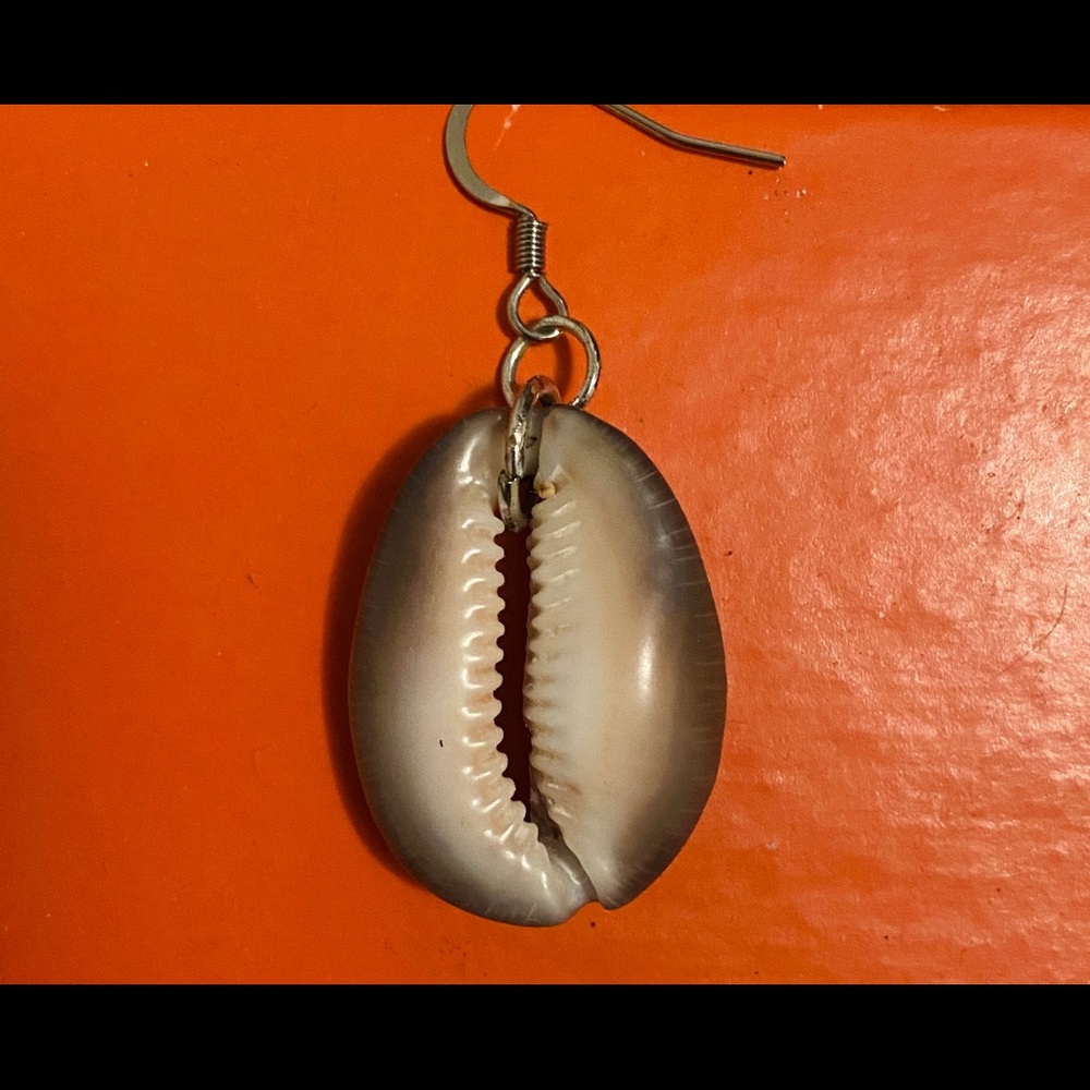 Cowrie Shell Earring